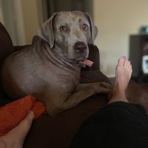 Meet your Posher, Tina